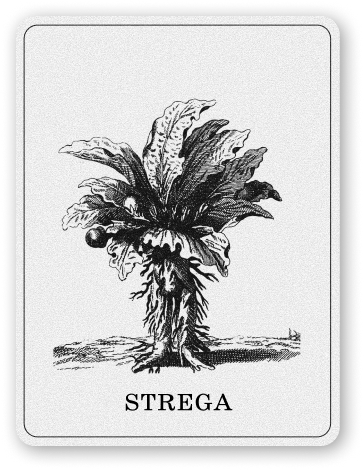 Strega — carta del programma con incisione