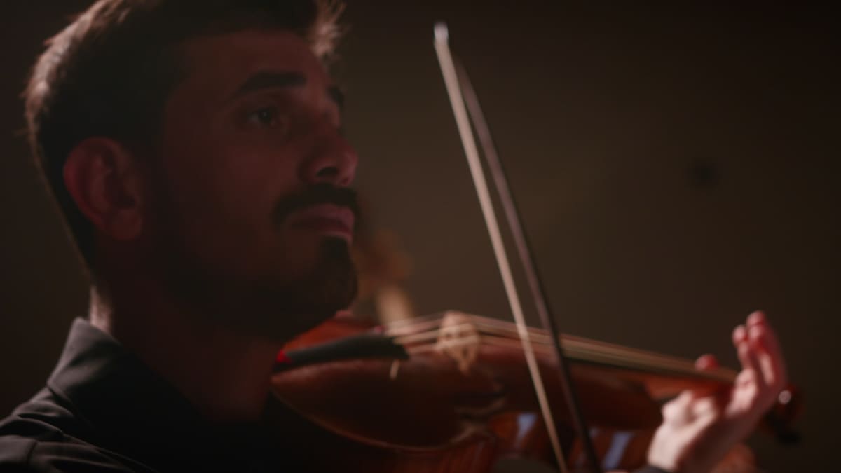 Domenico Scicchitano al violino