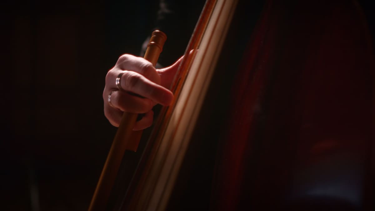 L’arco sul violone di Fabio Longo